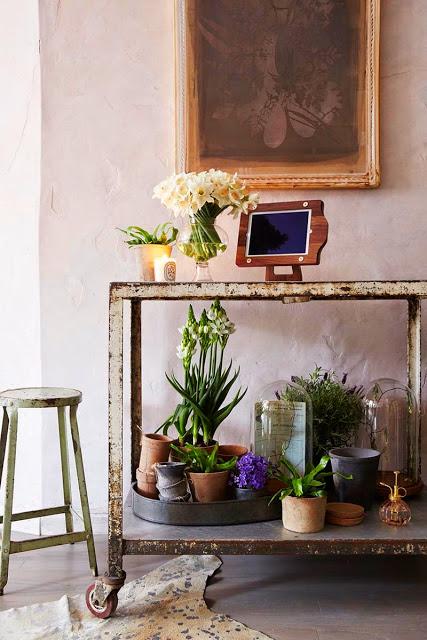 The Golden Carrot: Una tienda para sentarse como en casa