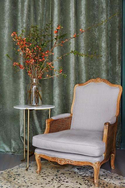 The Golden Carrot: Una tienda para sentarse como en casa