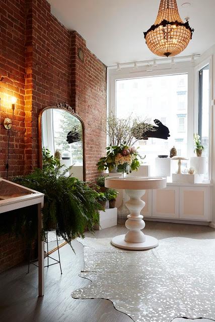 The Golden Carrot: Una tienda para sentarse como en casa