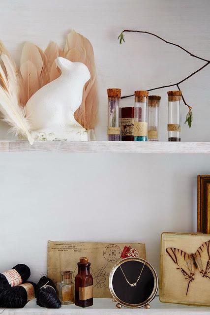 The Golden Carrot: Una tienda para sentarse como en casa