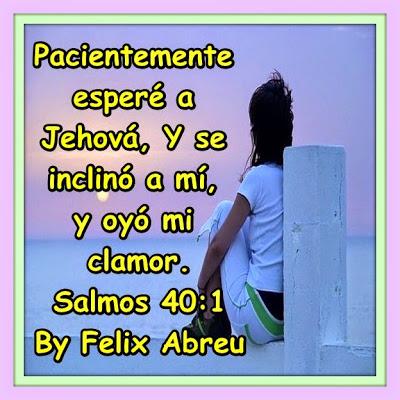 No pierdas nunca la fe y la paciencia