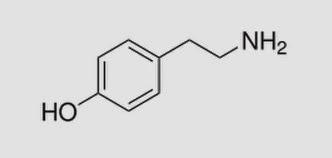  4-hydroxyphenethylamine para-tyramine mydrial uteramin tyramine