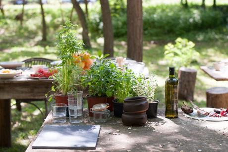 Vivir con los cinco sentidos. Una experiencia Moeraki Vivir con los cinco sentidos. Una experiencia Moeraki