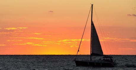 ¿Hay muerte después de la vida?