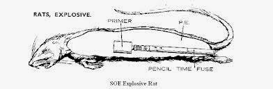 Las ratas explosivas Las ratas explosivas