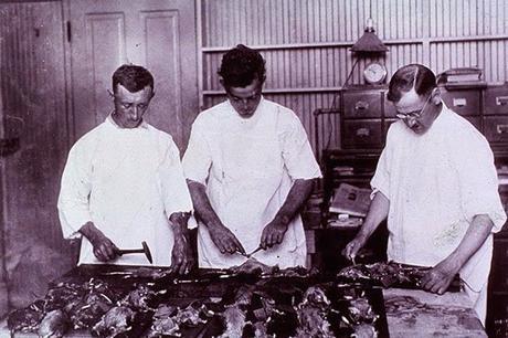 Las ratas explosivas Las ratas explosivas