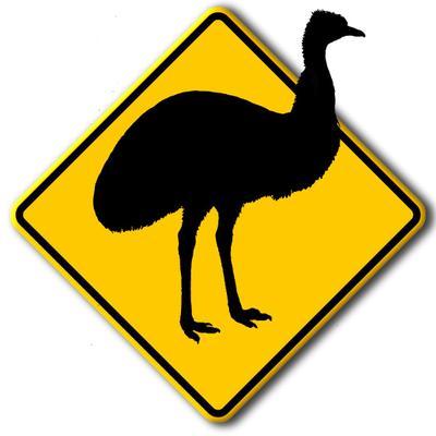 Murcia y sus carreras - por José Antonio Martínez Nicolás