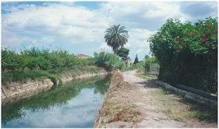 Murcia y sus carreras - por José Antonio Martínez Nicolás