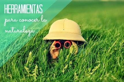 Herramientas: 4 recursos para conocer mejor la naturaleza Herramientas: 4 recursos para conocer mejor la naturaleza