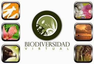 Herramientas: 4 recursos para conocer mejor la naturaleza