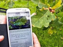 Herramientas: 4 recursos para conocer mejor la naturaleza