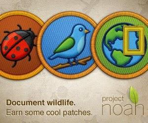 Herramientas: 4 recursos para conocer mejor la naturaleza