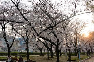 ¿Que visitar y comer en OSAKA?