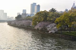 ¿Que visitar y comer en OSAKA?