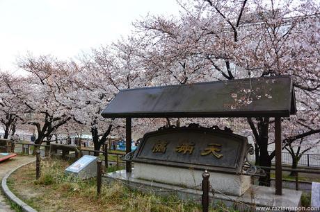 ¿Que visitar y comer en OSAKA?