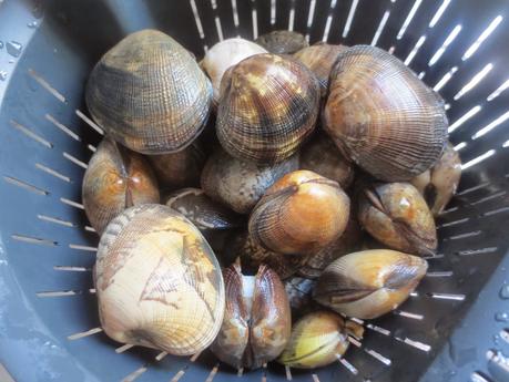 Almejas en salsa roja