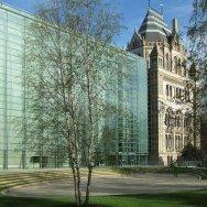Darwin Centre Fase 2 9.jpg