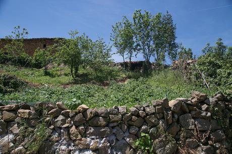 Carmona, Cantabria