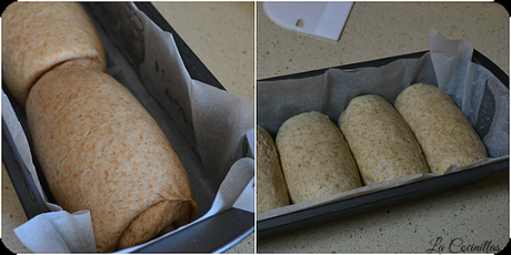 Pan de molde integral. Receta paso a paso