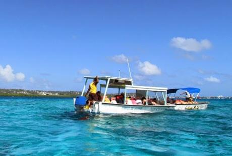 Corales en San Andrés. Colombia