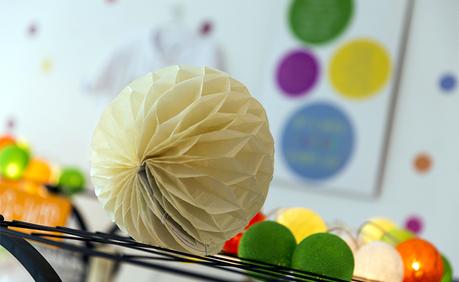 POP UP DREAMS (MAYO)