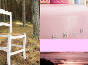 rose decorando rosa, como prefieras