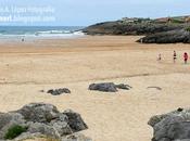 Playas Cantabria: Cuberris