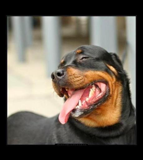 Descubre las ventajas de ser positivo Descubre las ventajas de ser positivo