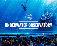 ESPECTACULAR GIF CON LAS LOCALIZACIONES QUE VEREMOS EN JURASSIC WORLD