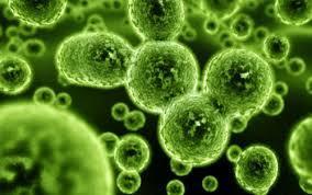 Lo que deberías saber al soñar con microbios. sueño con microbios