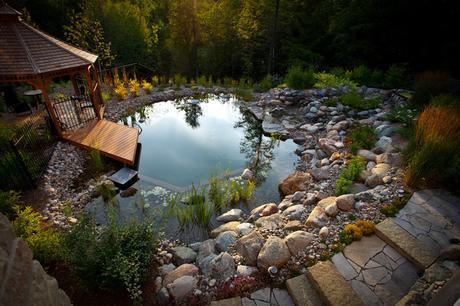 Natural Swimming Pool by the Forest contemporary-landscape