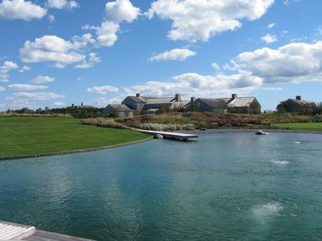 Natural Swimming Pool traditional-pool