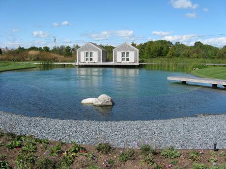 Natural Swimming Pool traditional-landscape