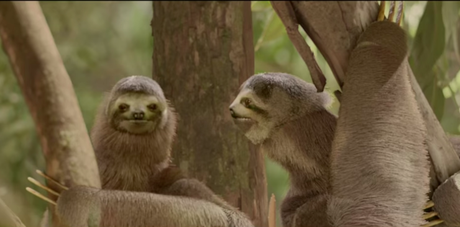 Lo que hace un creativo publicitario