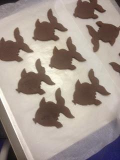 GALLETAS INTEGRALES CON Y SIN CHOCOLATE