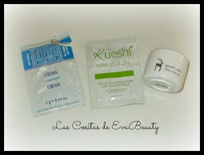 Productos Terminados (Vol.22)