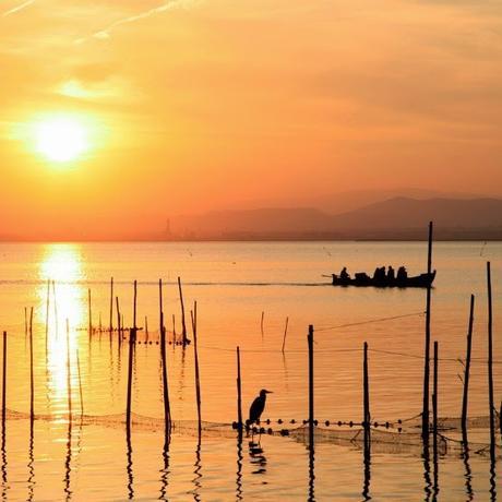 La Albufera, uno de los espacios naturales más impresionantes