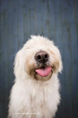 San Viernes imaginando