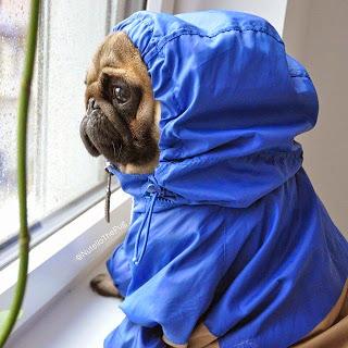 San Viernes imaginando