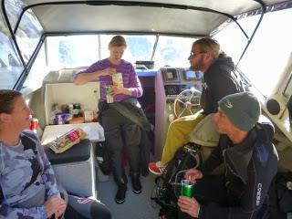 SUBMARINISMO EN MILFORD SOUND (PIOPIOTAHI)