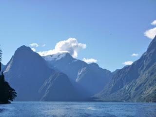 SUBMARINISMO EN MILFORD SOUND (PIOPIOTAHI)