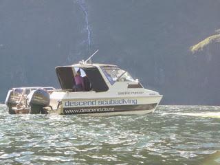 SUBMARINISMO EN MILFORD SOUND (PIOPIOTAHI)