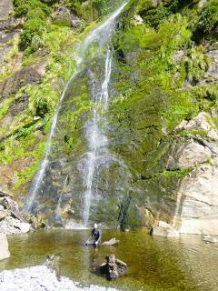 SUBMARINISMO EN MILFORD SOUND (PIOPIOTAHI)