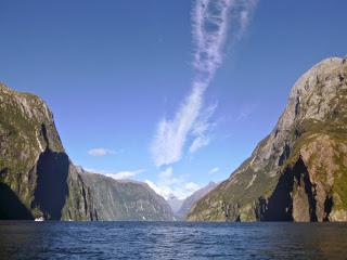 SUBMARINISMO EN MILFORD SOUND (PIOPIOTAHI)