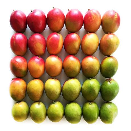 Foto de degradados de mangos de Brittany Wright