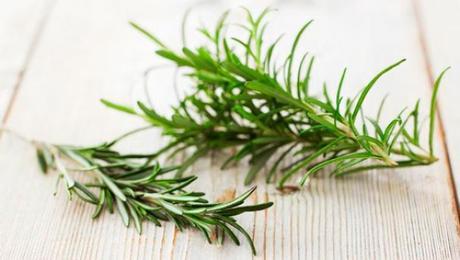 Buenas razones para aderezar la comida con romero aceite_aromatico