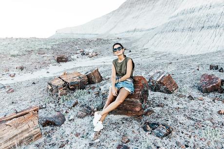 Painted_Desert_Petrified_Desert-Levis-Vintage-Maje_Belt-Outfit-Collage_on_The_Road-56