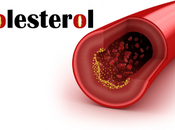 Cosas Debes Saber sobre Colesterol