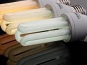 Fundación participa proyectos investigación para reducir contaminación