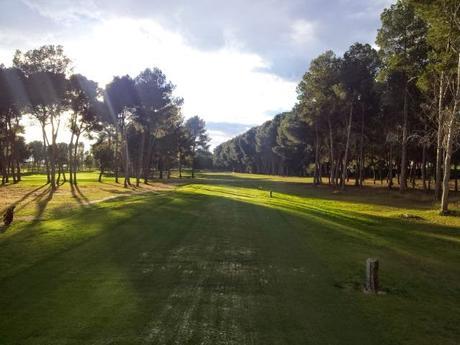 VLC Lifestyle: ROTARY CLUB Valencia!